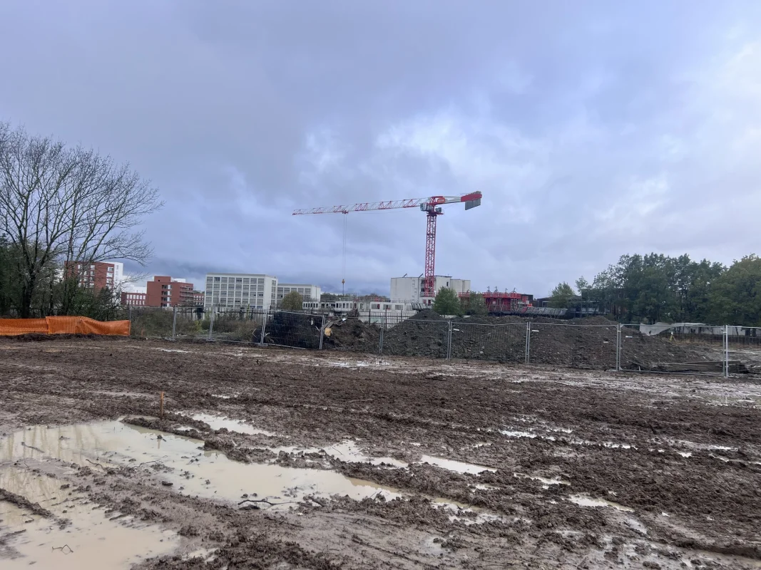 BOIS DE NAGOYA à Toulouse