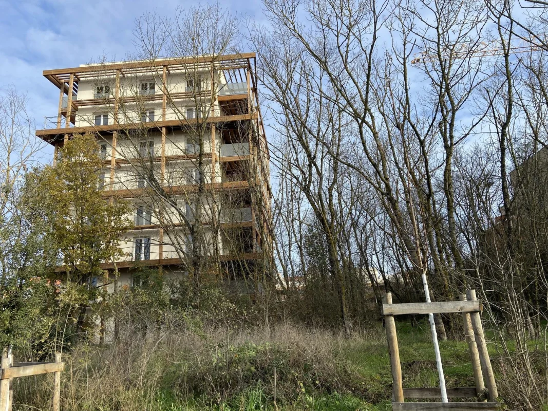BOIS DE NAGOYA à Toulouse