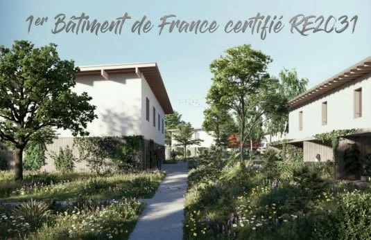 Les Rullas à Royan