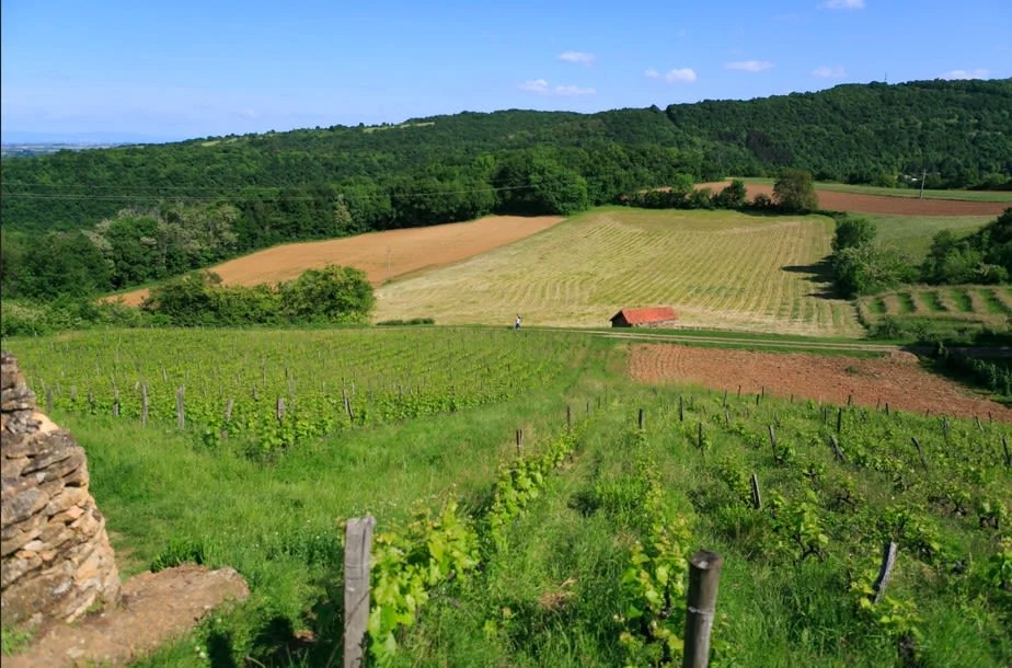 Les Jardins du Moulin à Saint-Romain-au-Mont-d'Or