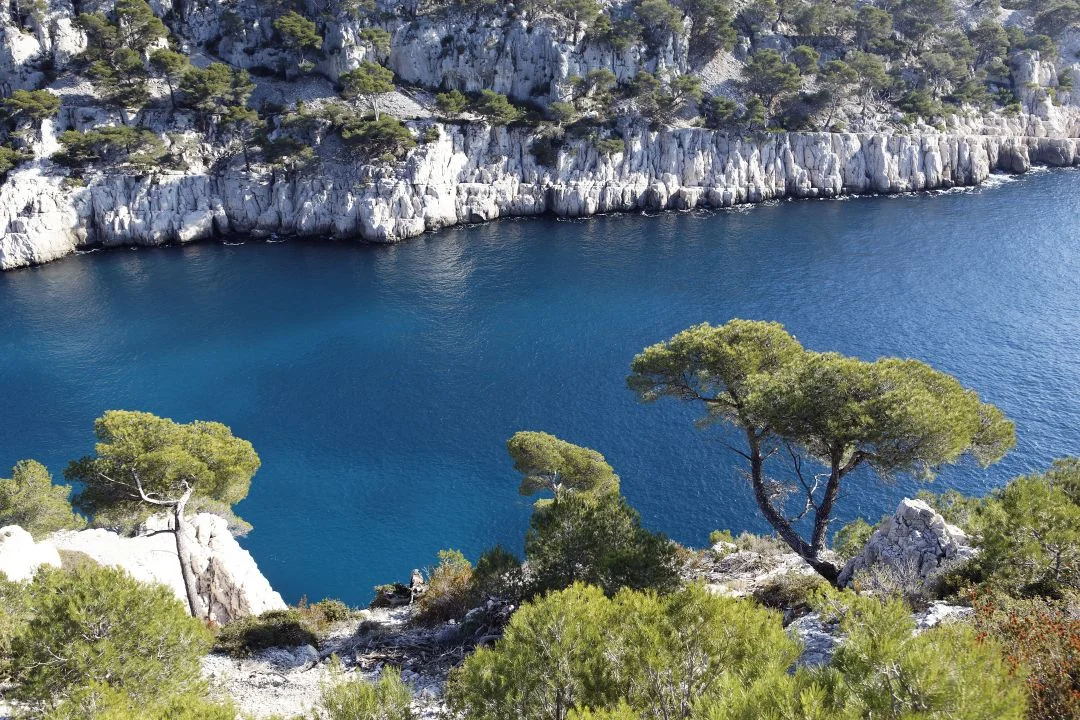 Sanha à La Seyne-sur-Mer