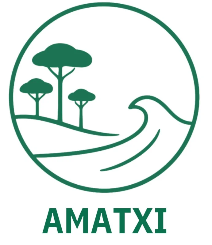 Amatxi - BISCARROSSE (40) à Biscarrosse