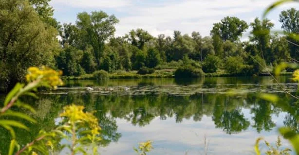 Urbanéo - Strasbourg à Strasbourg