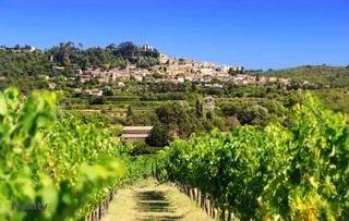 LE CABELLIO à Cavaillon