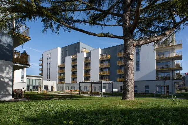 LES BOTANISTES à Angers