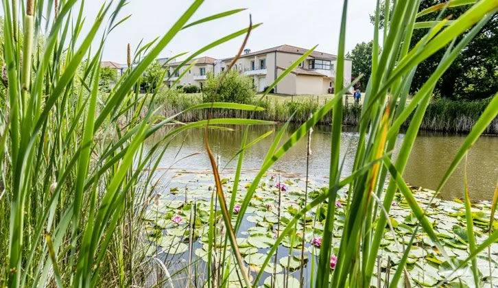 Le Jardin des Alisiers à Isle-Jourdain