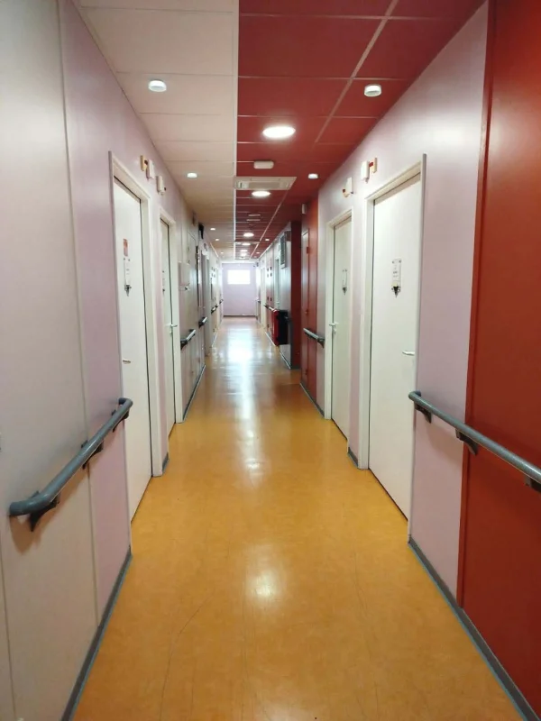Lauriers de Plaisance à Neuilly-Plaisance