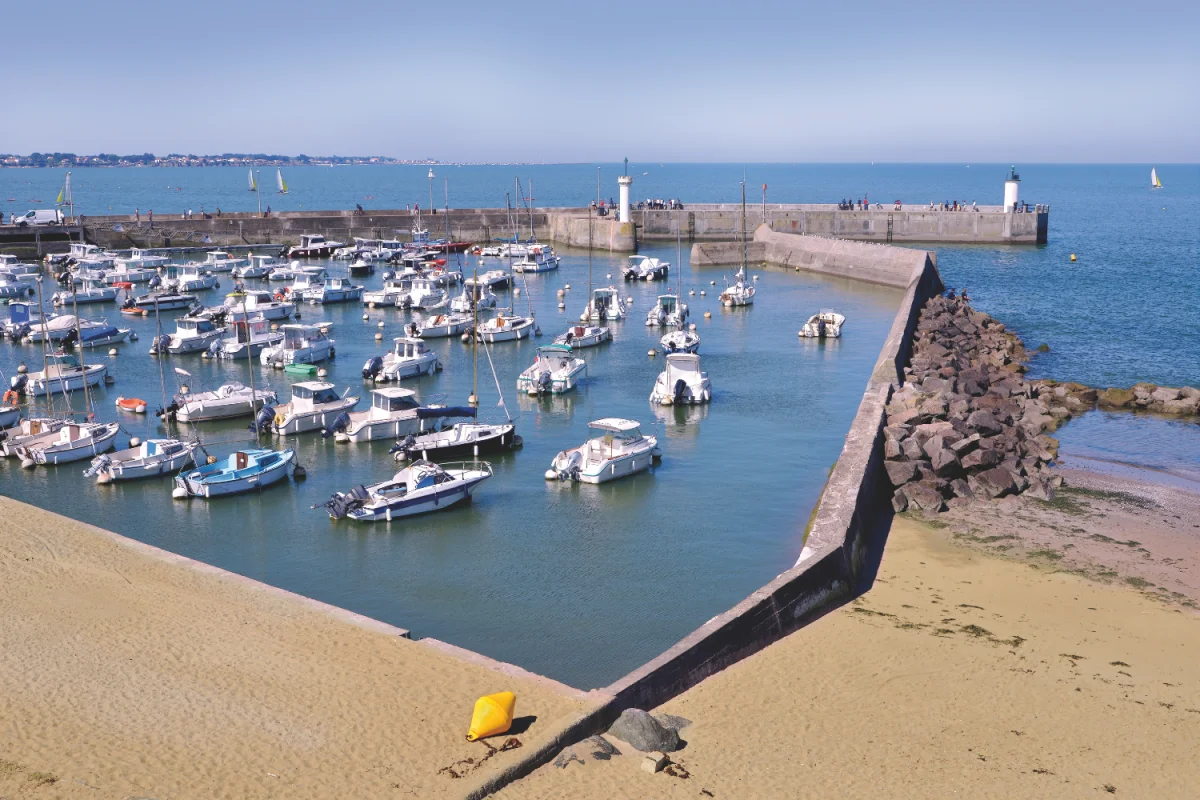 JADELIA à Saint-Michel-Chef-Chef