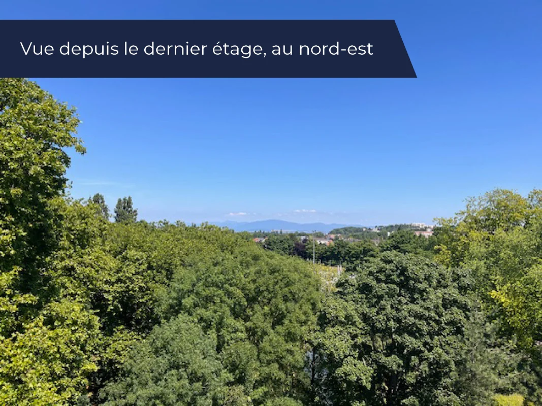 Les Bateliers à Mulhouse