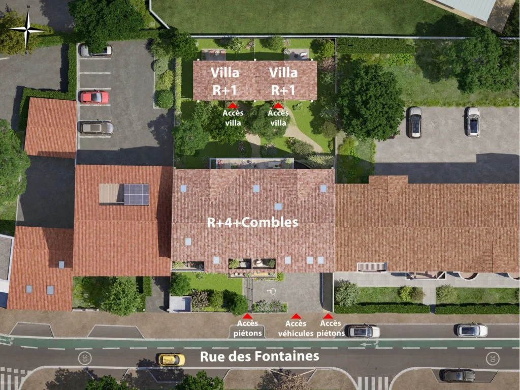Aiga Viva à Toulouse