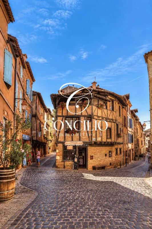 LES RIVES D'ALBI à Albi